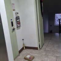 알리발 럭키박스 개봉기